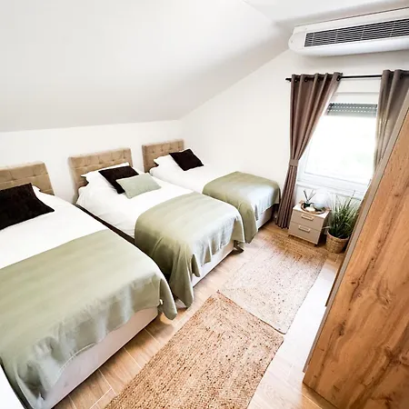 Aurelia Wellness